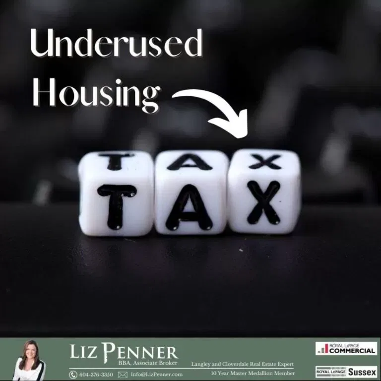 Underused Housing Tax