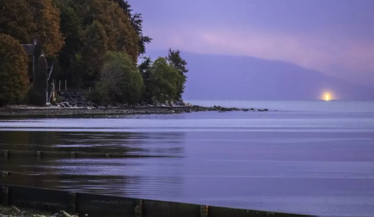 South Surrey Real Estate