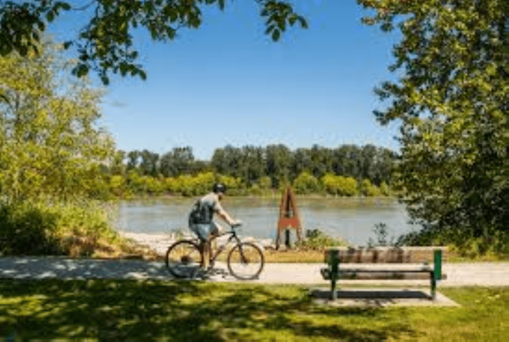 Langley Real Estate Listings and Recent Sales
