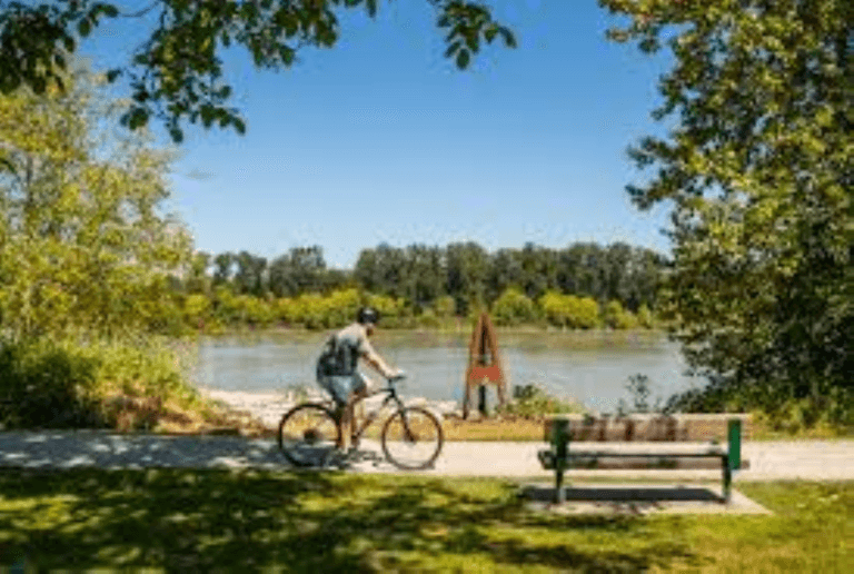 Langley Real Estate Listings and Recent Sales