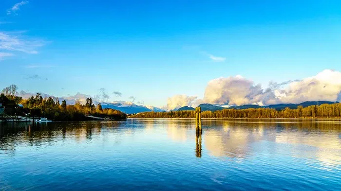 Langley Real Estate Listings and Recent Sales​